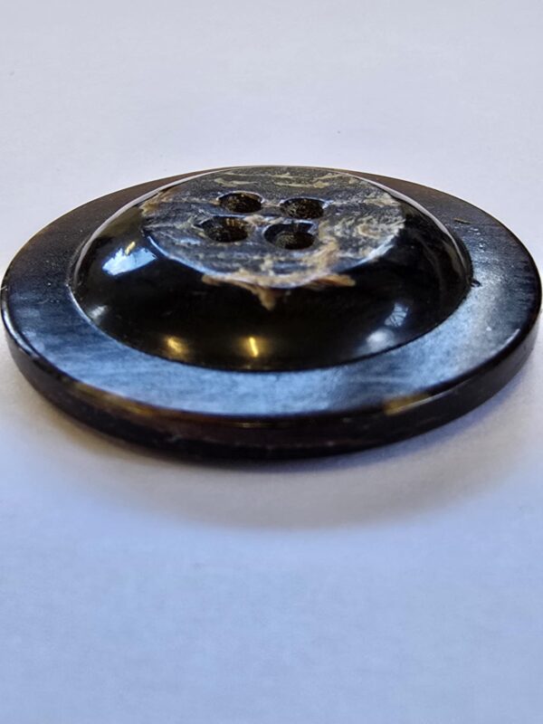 Bark Horn Raised Center 4 Hole Button
