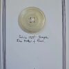 c1a33f77-e1c9-42d5-a0c8-1ef151ce4473 Simple Fine Mother of Pearl Button