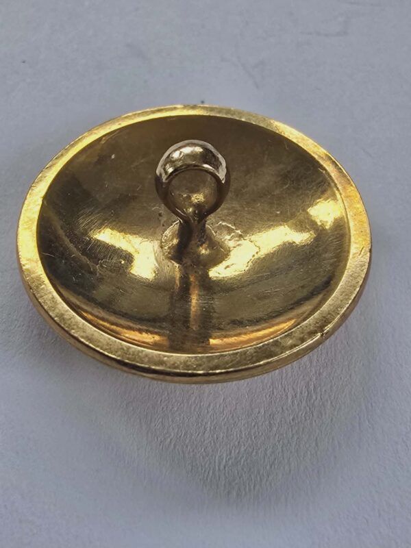 Pelican with Crown Livery set of Buttons
