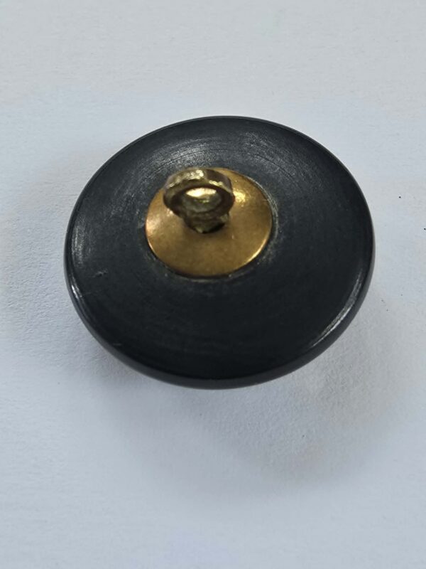 a9fd2ae2-c68d-46bd-a44b-25cc4e855983 Turned Horn with Cut Steel Button