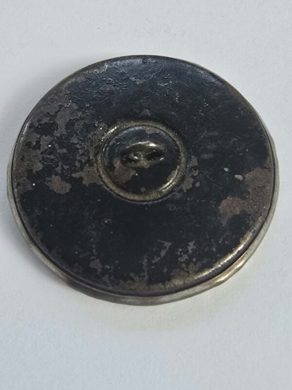 e3f7bd2d-2736-4f28-bbf7-3d3ec17be020 Silver Plated and Glass Button